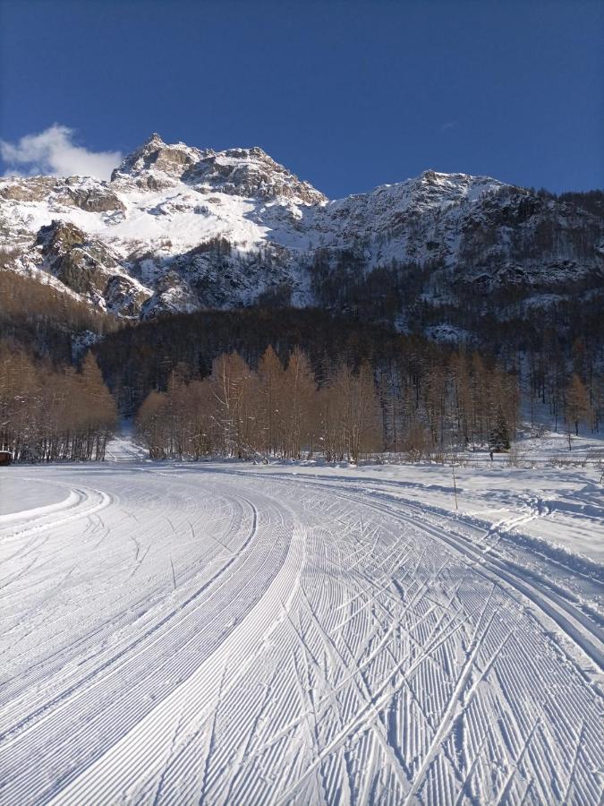 Maison Meynet Mountain Charm Breuil-Cervinia Eksteriør billede